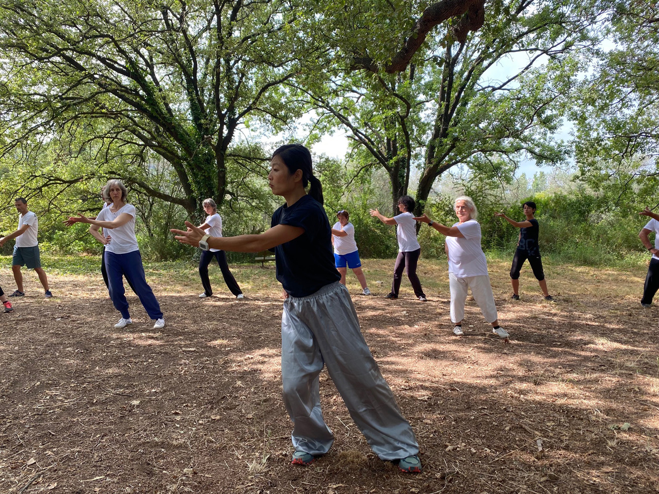 Cours de Tai Ji en plein air à Vallauris